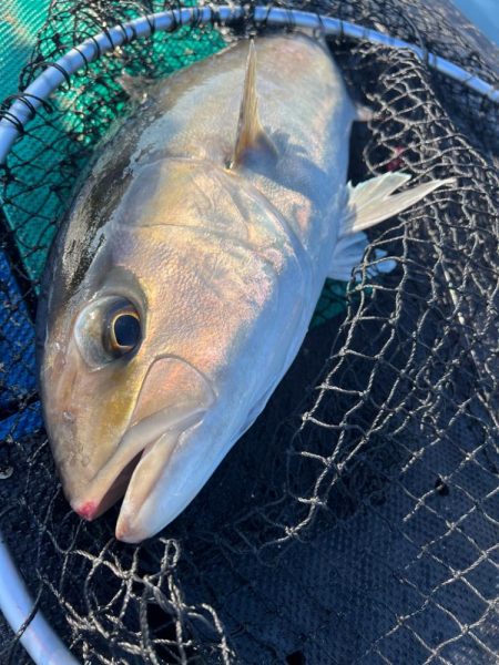 WEST MARINE杯に参加して来ました！