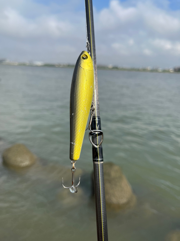 トップで釣れた?