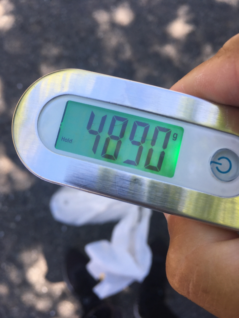 【タコフィネス】 キロアップ含む4900kg@8杯