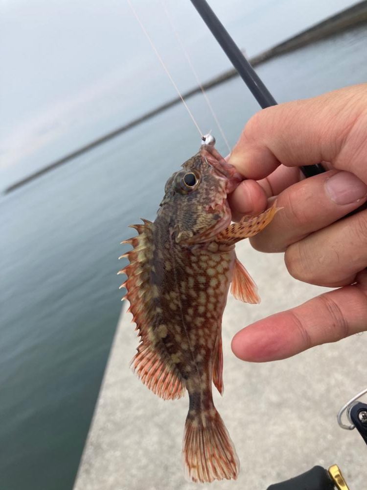 デイガシリング