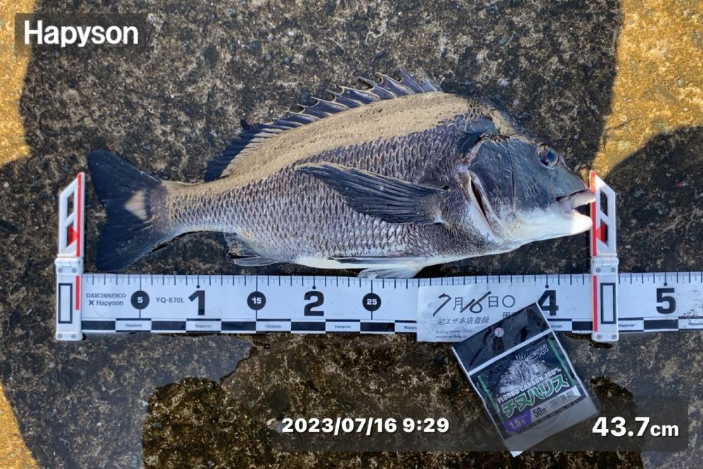 また強く風が吹き始め