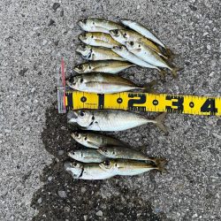 夜フロート〜朝マズメジグ単