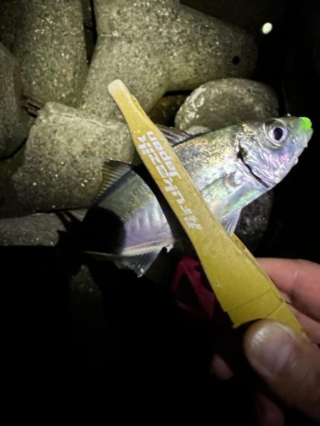 暴風フロートゲーム