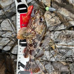 小浜ライトゲーム