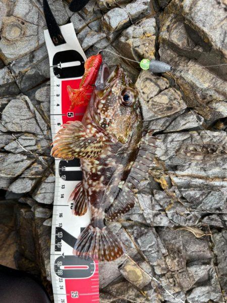 小浜ライトゲーム