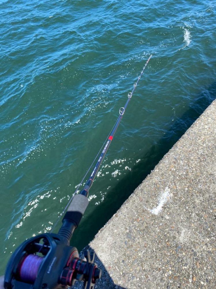 爆風でもタコ釣りへ