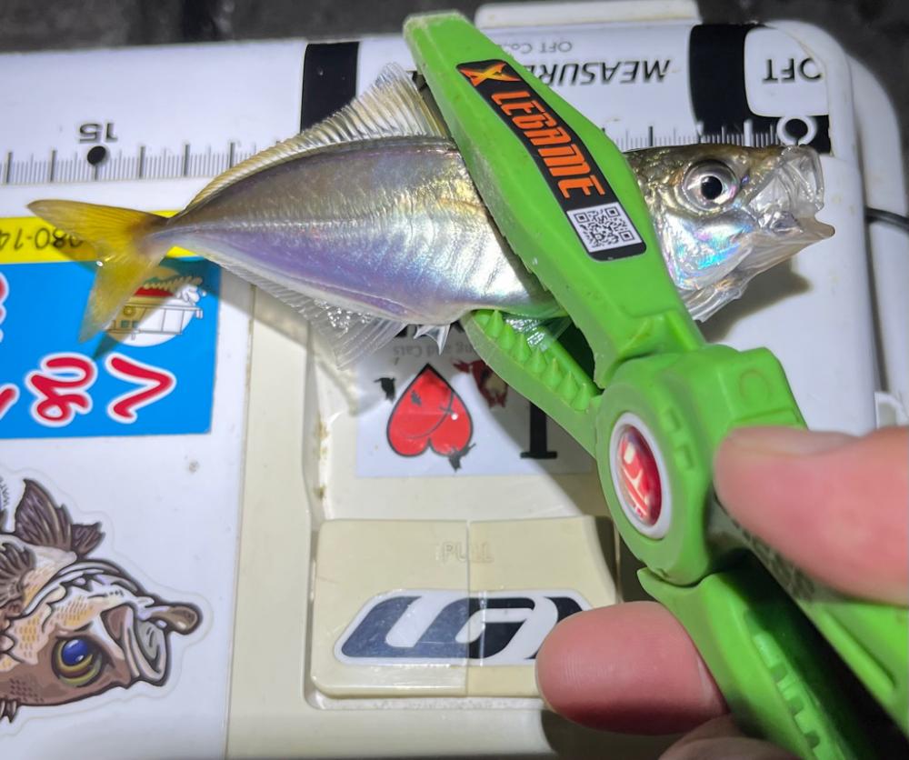 スーパー豆アジング