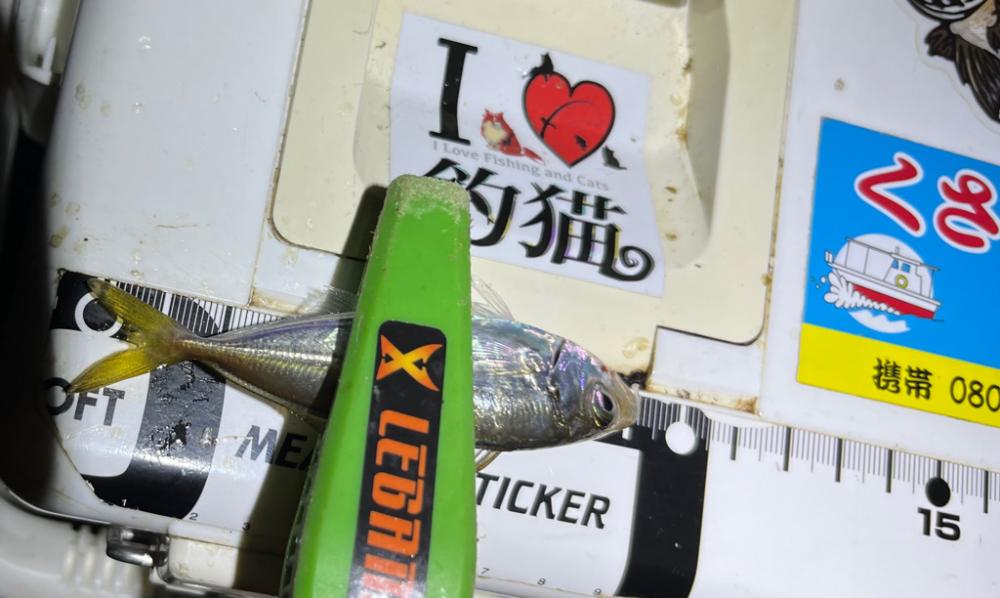 超お豆アジング