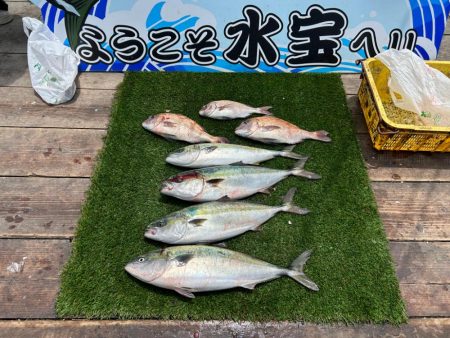 関西釣り堀KING 海上釣り堀水宝
