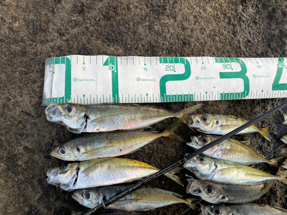 2023 佐渡ヶ島 ライトゲーム 7月17日