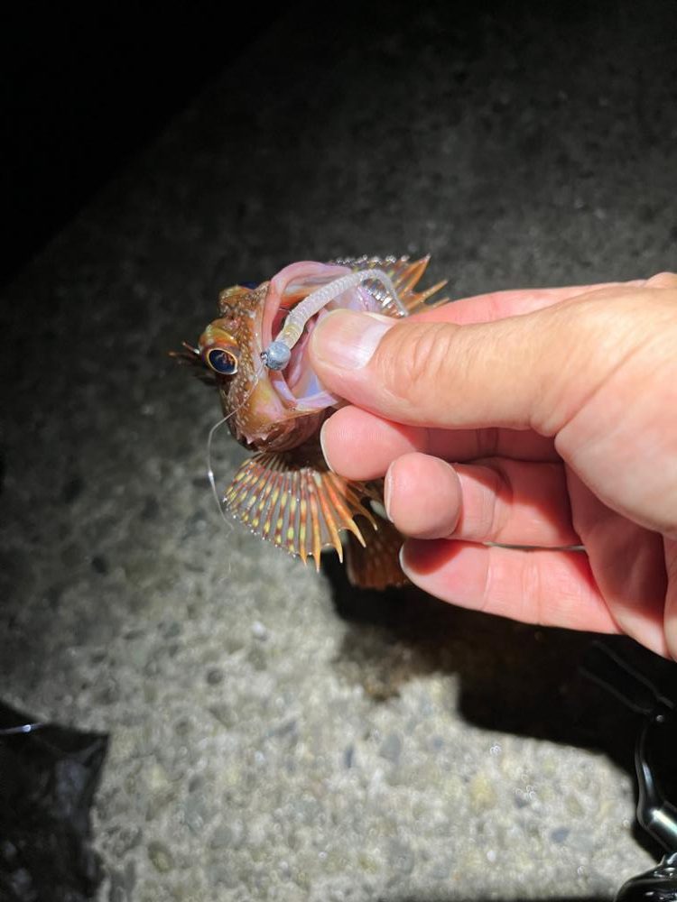 港湾ガシリング