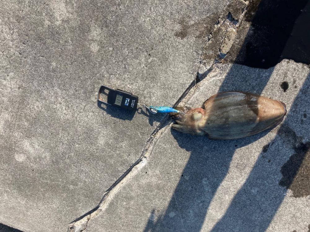 暑い