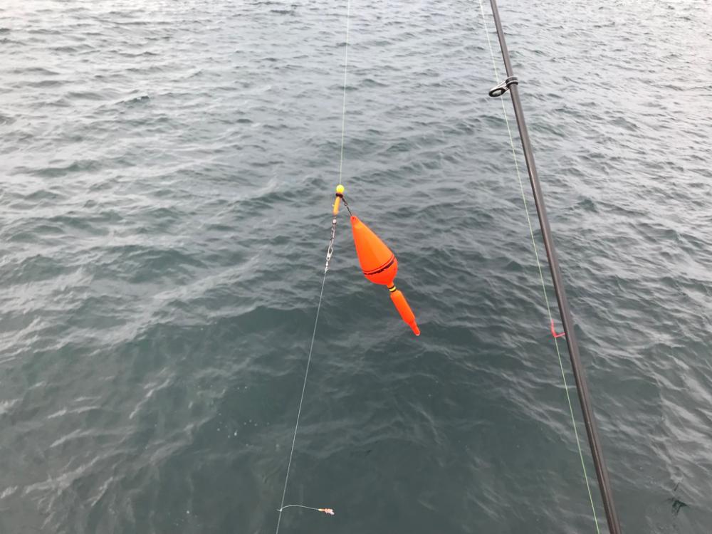 潮が速いので…