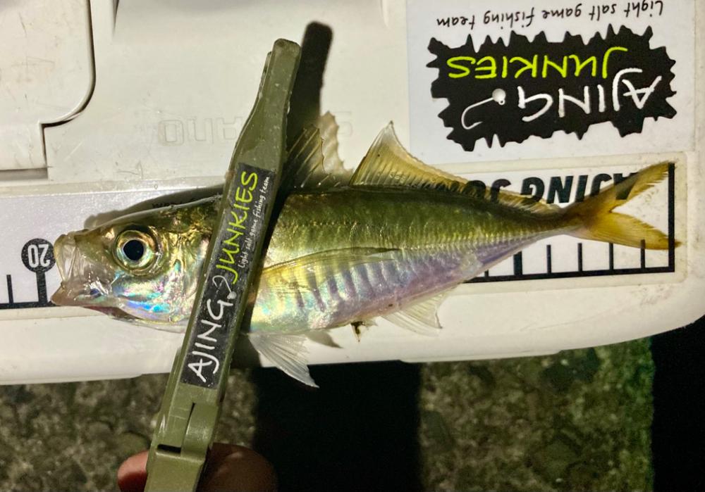 サイズアップならず！