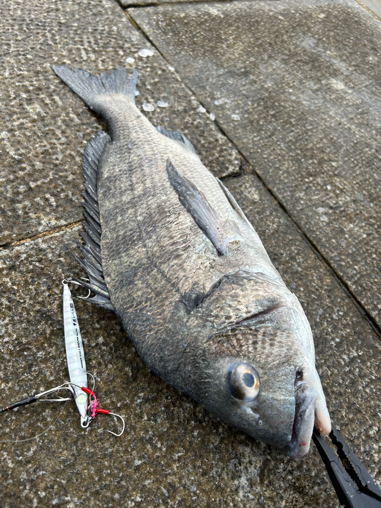 まさかの、、、！