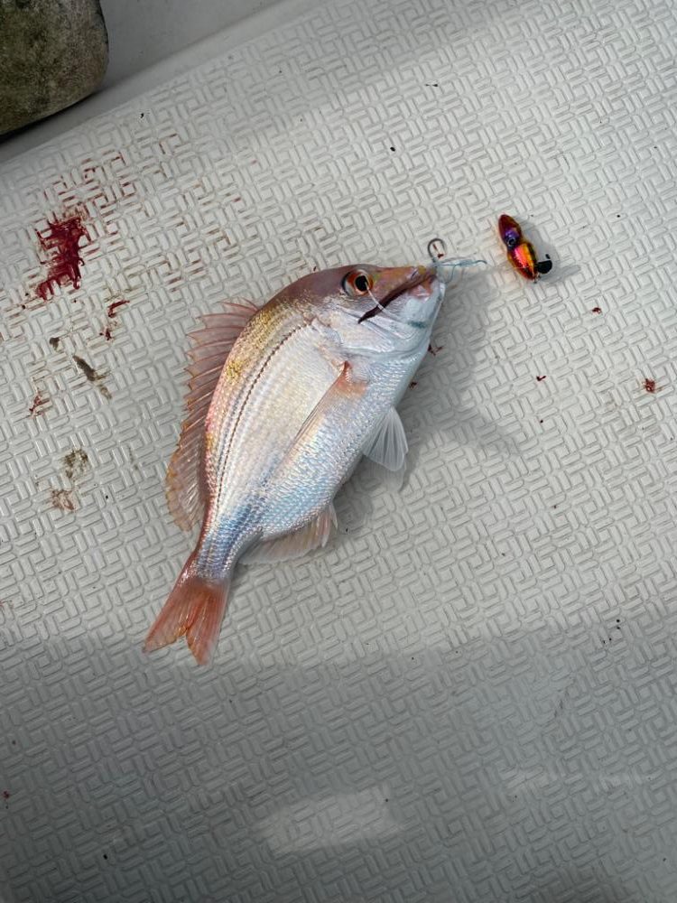 レンタルボート釣行