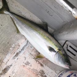 伊勢湾ジギング