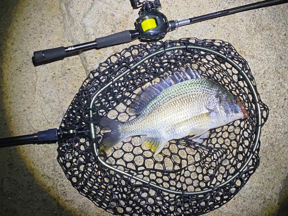 チニングは夜が涼しくて良い