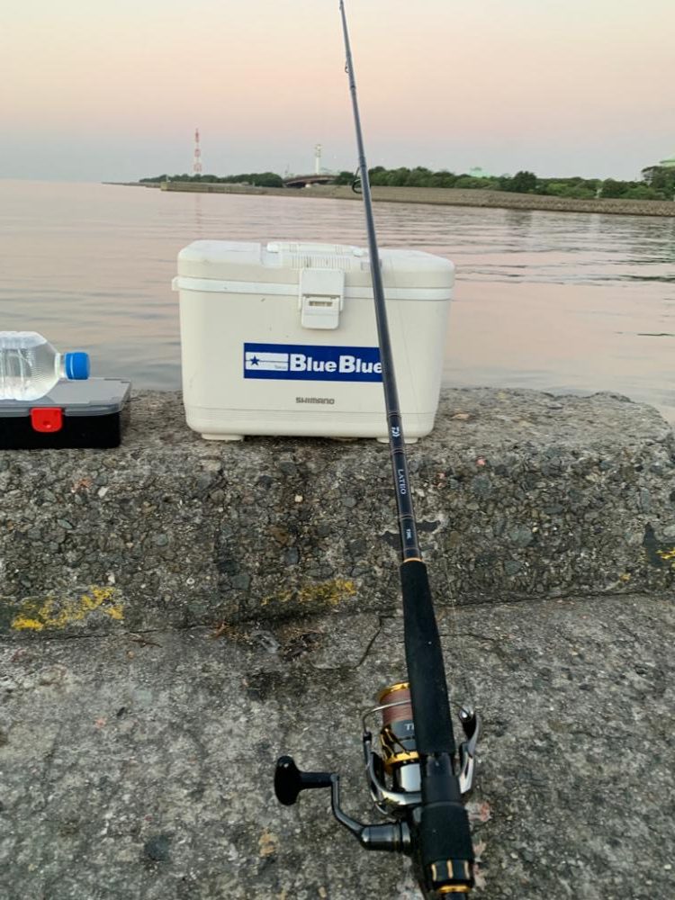 1年ぶりのサビキ