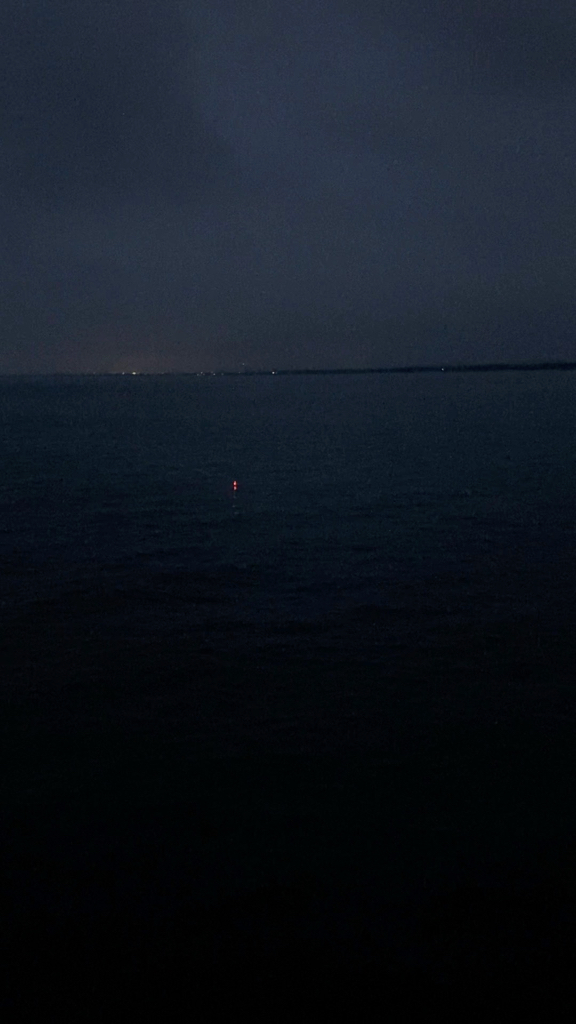 大きいサイズがよく釣れた日