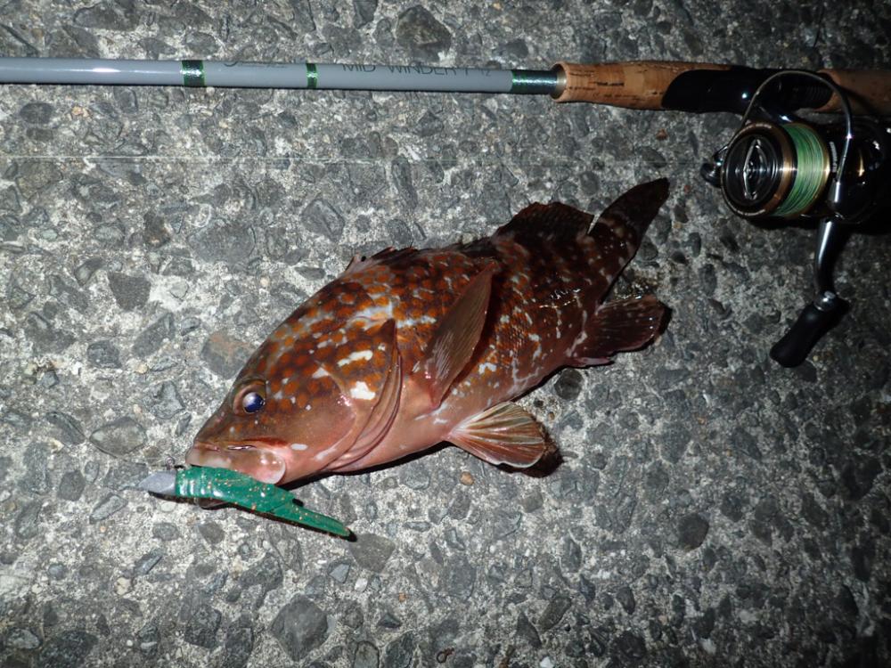 ワインドの爆発力がヤバかった!