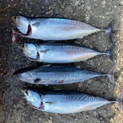 30分で4本〜♪♪