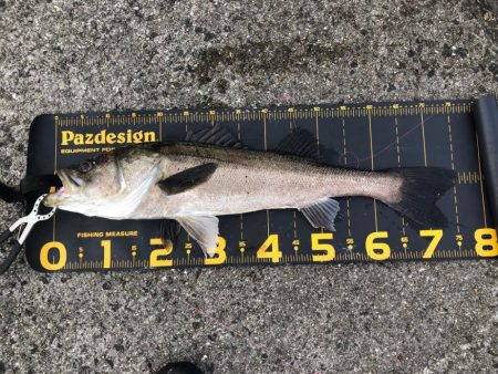 武庫川一文字で…