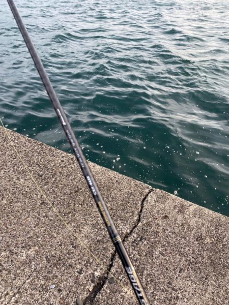 キジハタゲーム