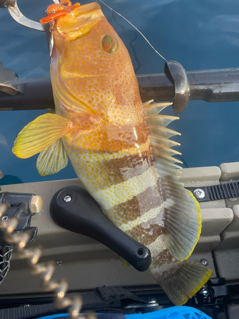 2023 佐渡ヶ島カヤックフィッシング 7月30日