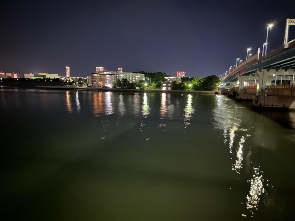 ホーム河川のウェーディング