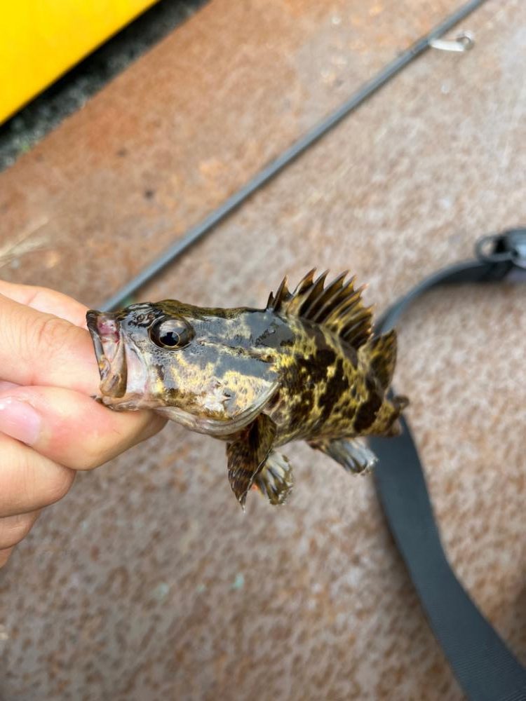 四日市ファミリーライトゲーム