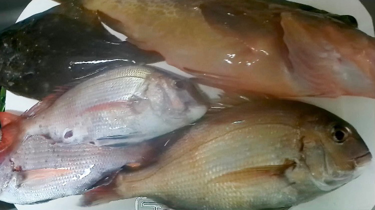 一つテンヤ当たり多っ！！