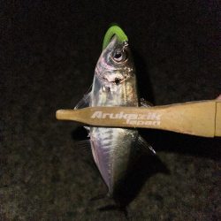 懲りずにフロートゲーム