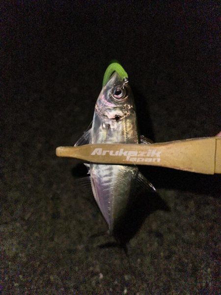 懲りずにフロートゲーム