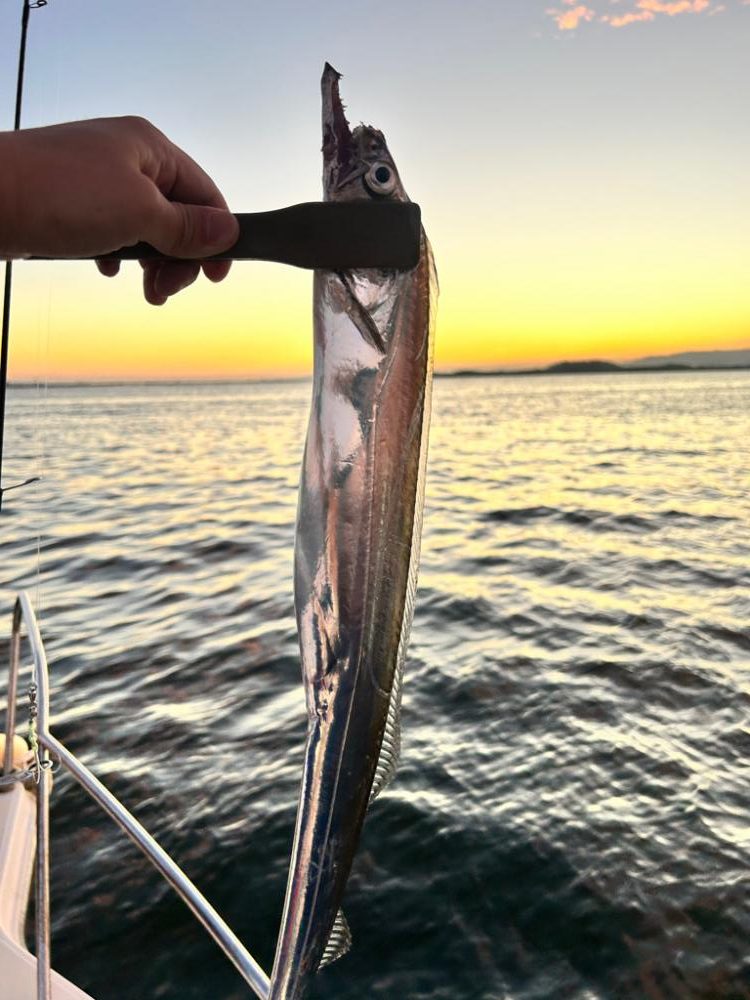 タチウオジギング
