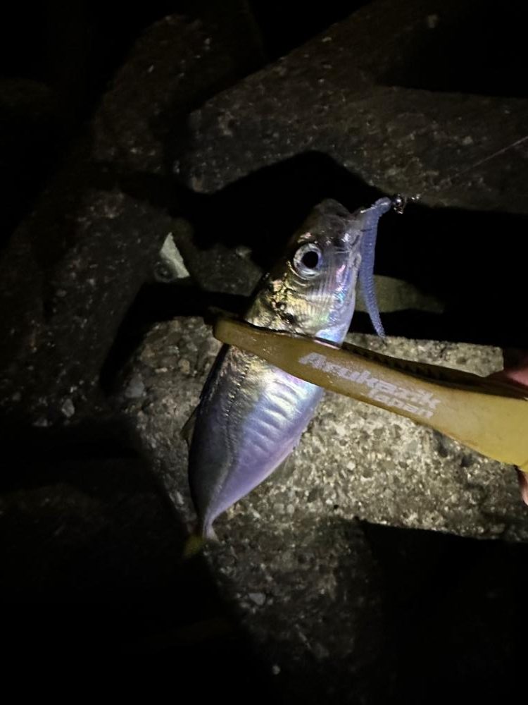 フロートゲーム