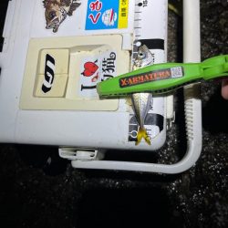 スーパーマイクロアジング