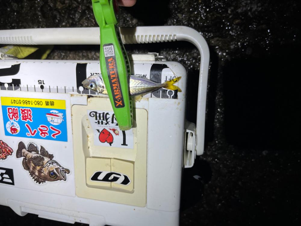 スーパーマイクロアジング