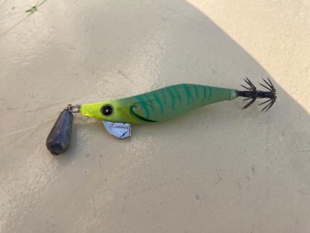 リベンジ不発もタコ2杯はキープにゃ！