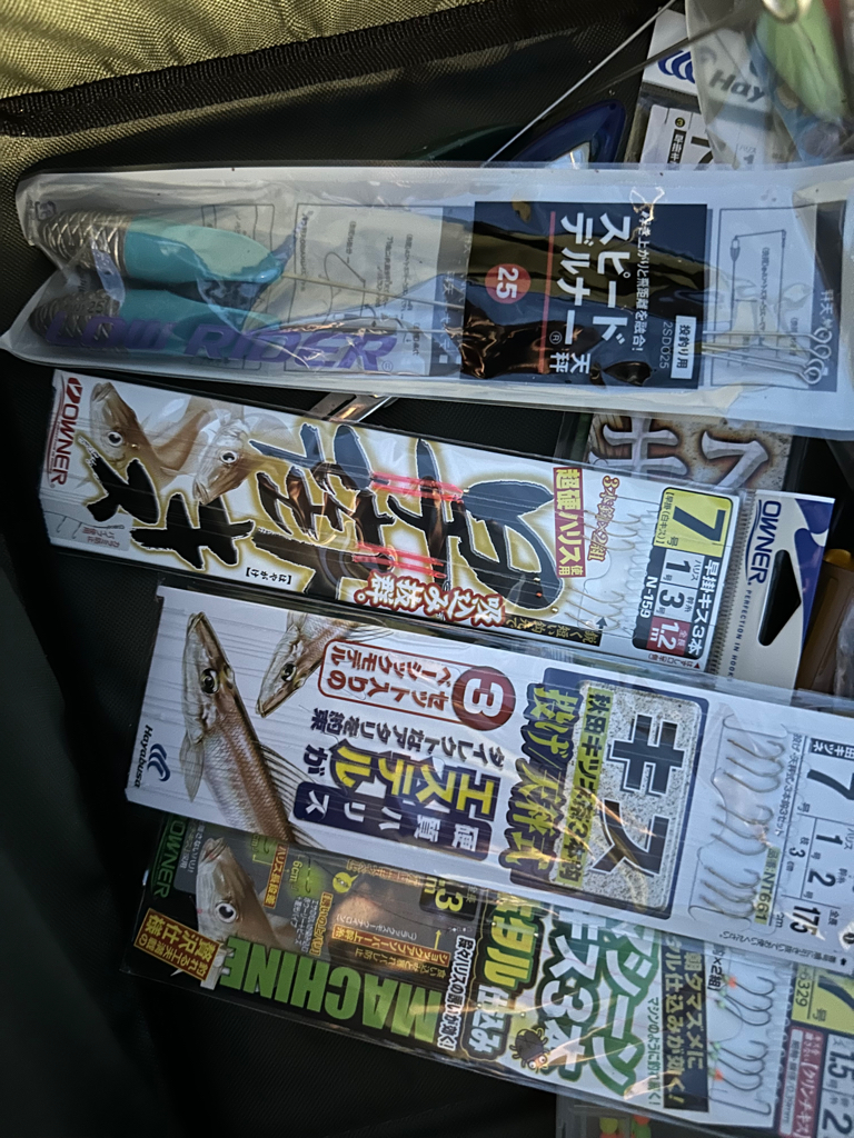 夜釣り、キス狙い