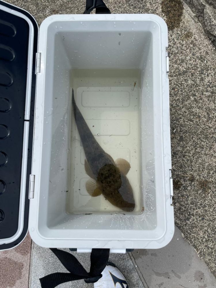 幸先は良かったが…