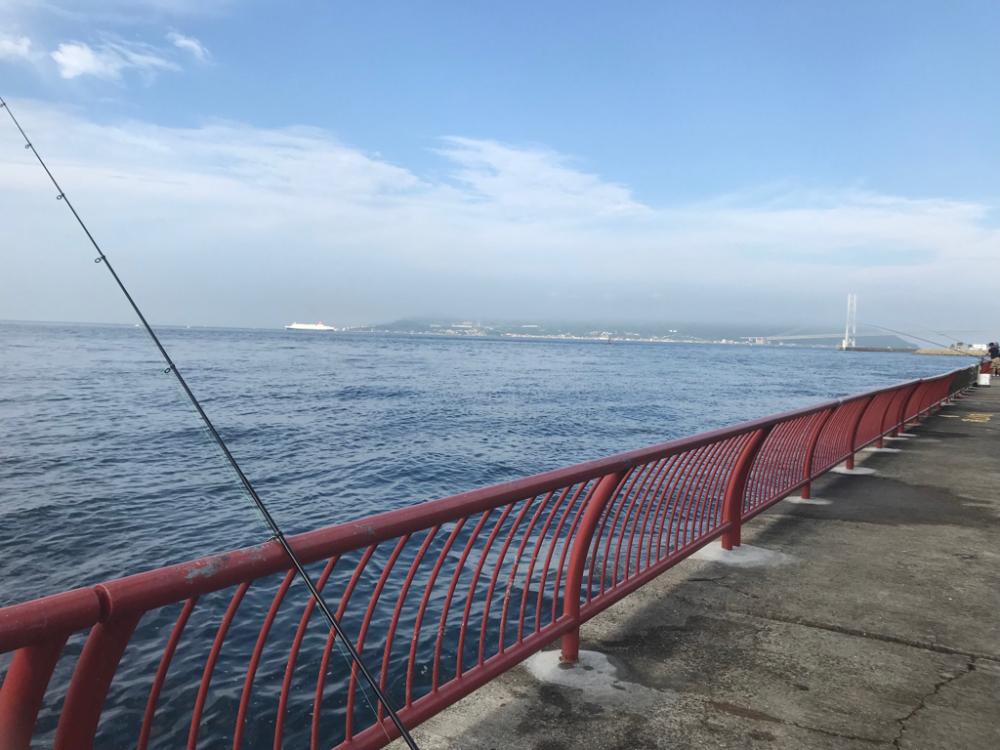 今日も平磯で…