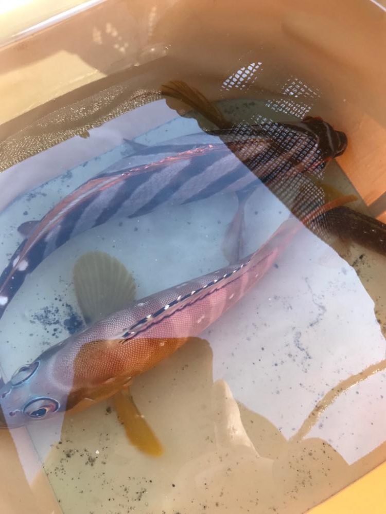 南紀の堤防でのんびり