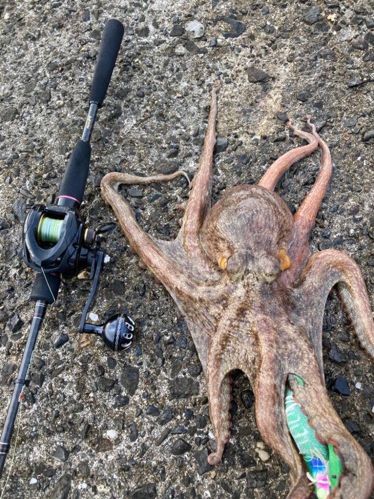 ⭐︎初のキロアップ