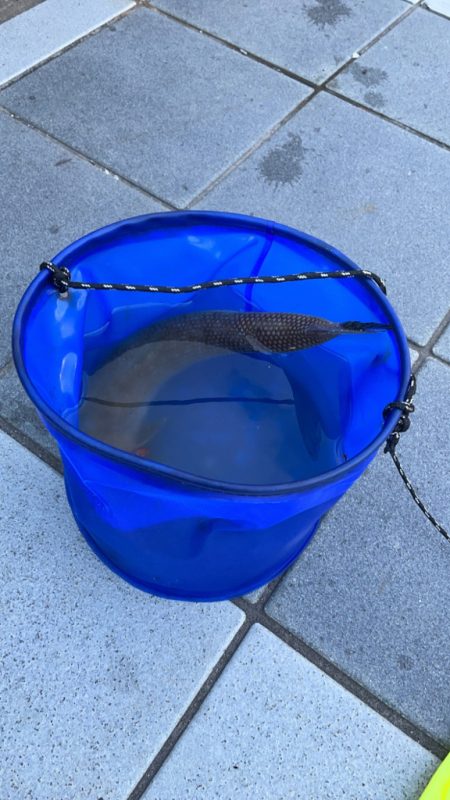 久しぶりのマリーナシティ