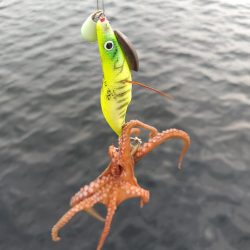 オクトパッシング