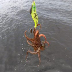 オクトパッシング