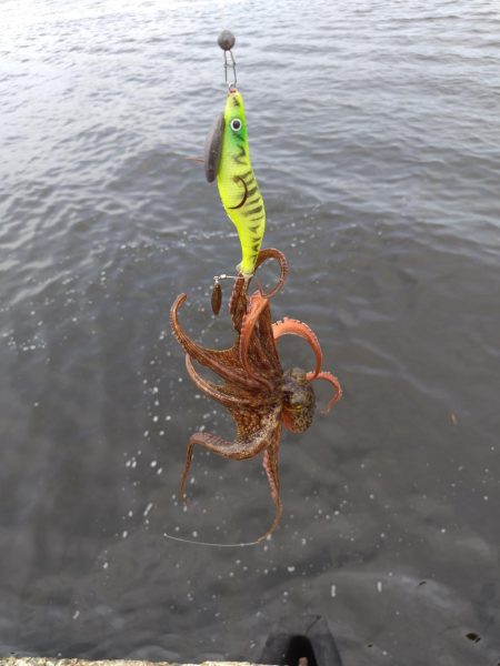 オクトパッシング