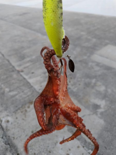 オクトパッシング