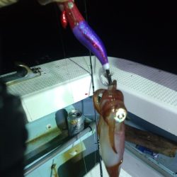 今期初イカメタル